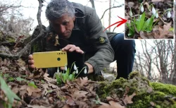 Avrupa’nın Gözü Anadolu’da: Biyokaçakçılık Uyarısı