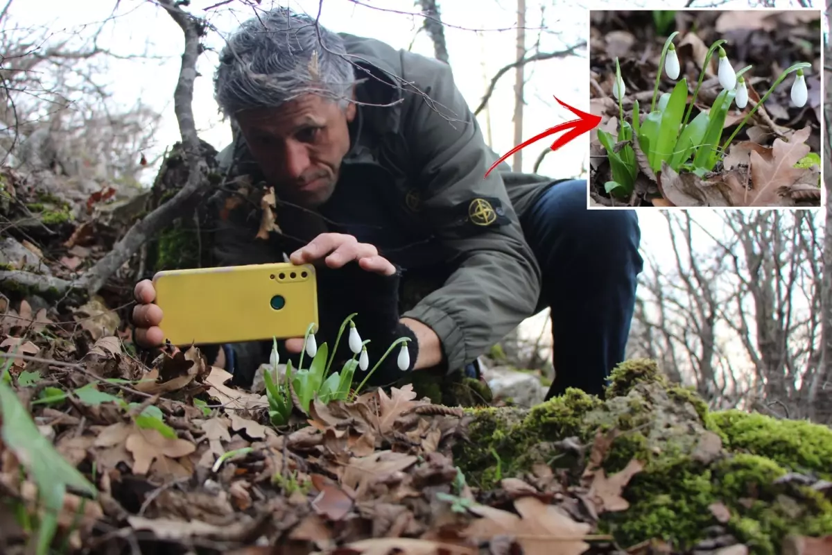 Avrupa’nın Gözü Anadolu’da: Biyokaçakçılık Uyarısı