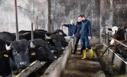 Manda Hibe Desteği: 2026 Hibe Desteklerinden Nasıl Yararlanılır?