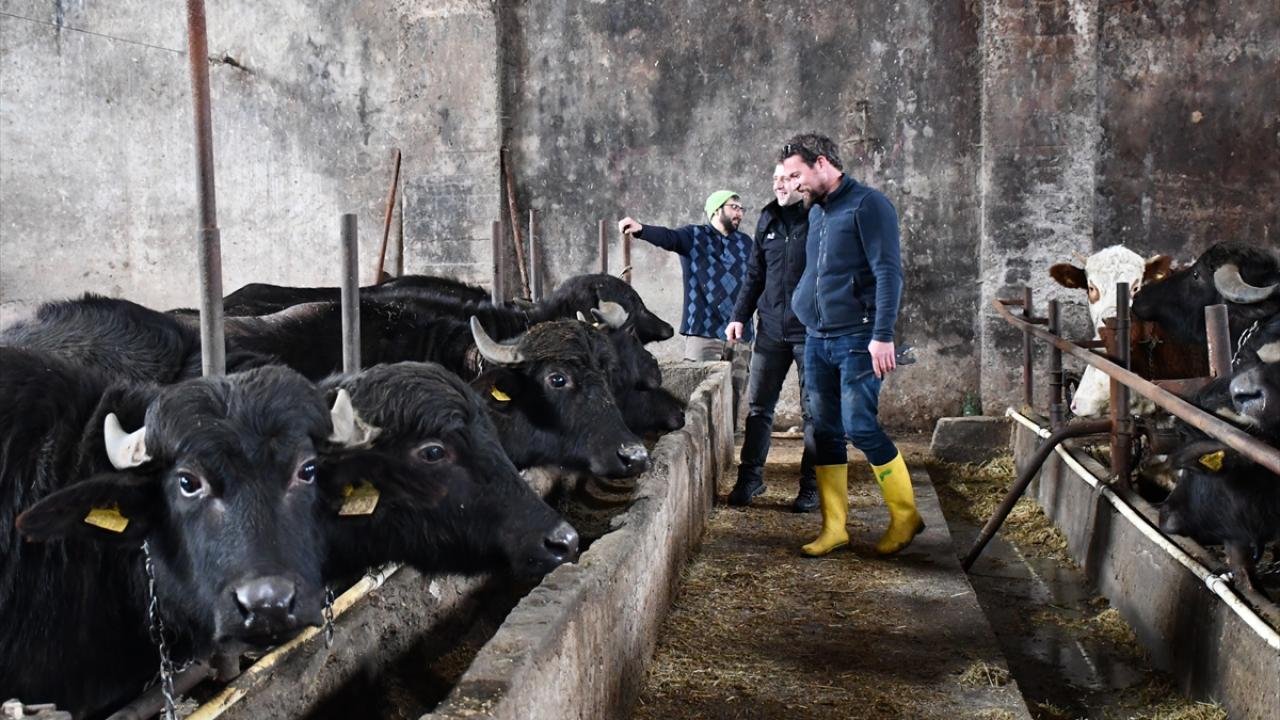 Manda Hibe Desteği: 2026 Hibe Desteklerinden Nasıl Yararlanılır?